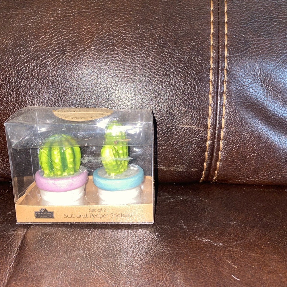 Cactus Salt and Pepper shaker